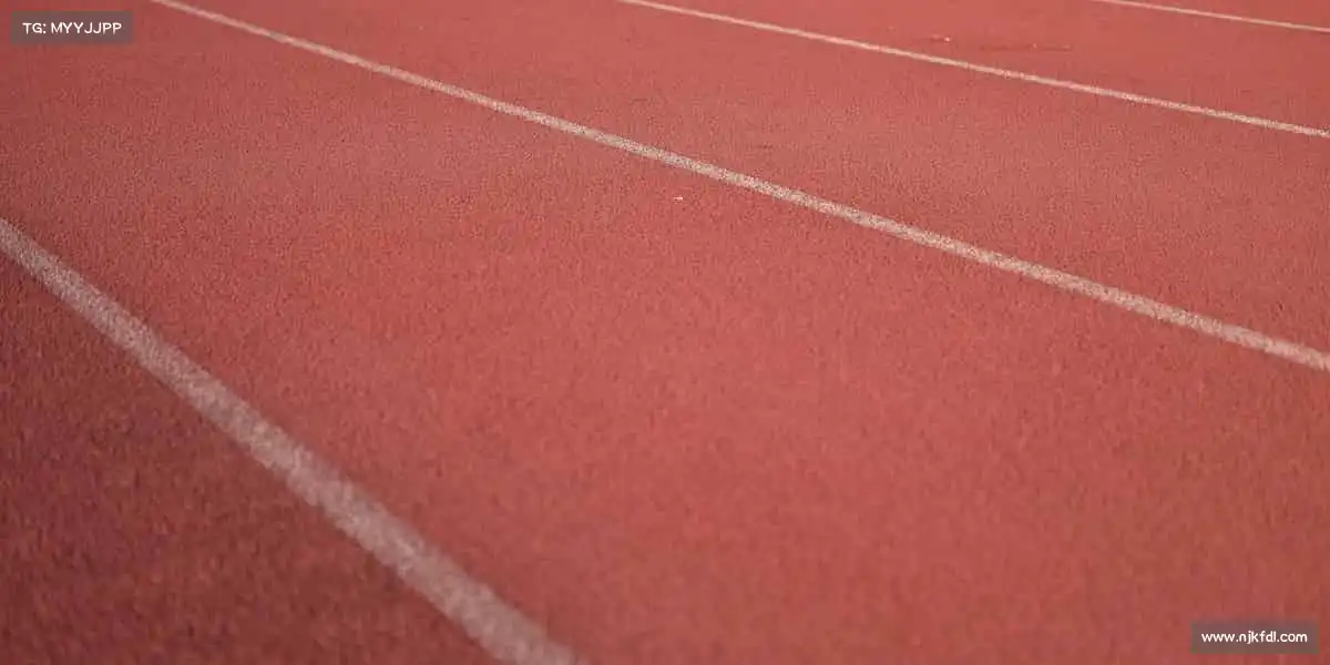 cmp冠军体育——活力无限迸发,共赴体育新热爱!⚽